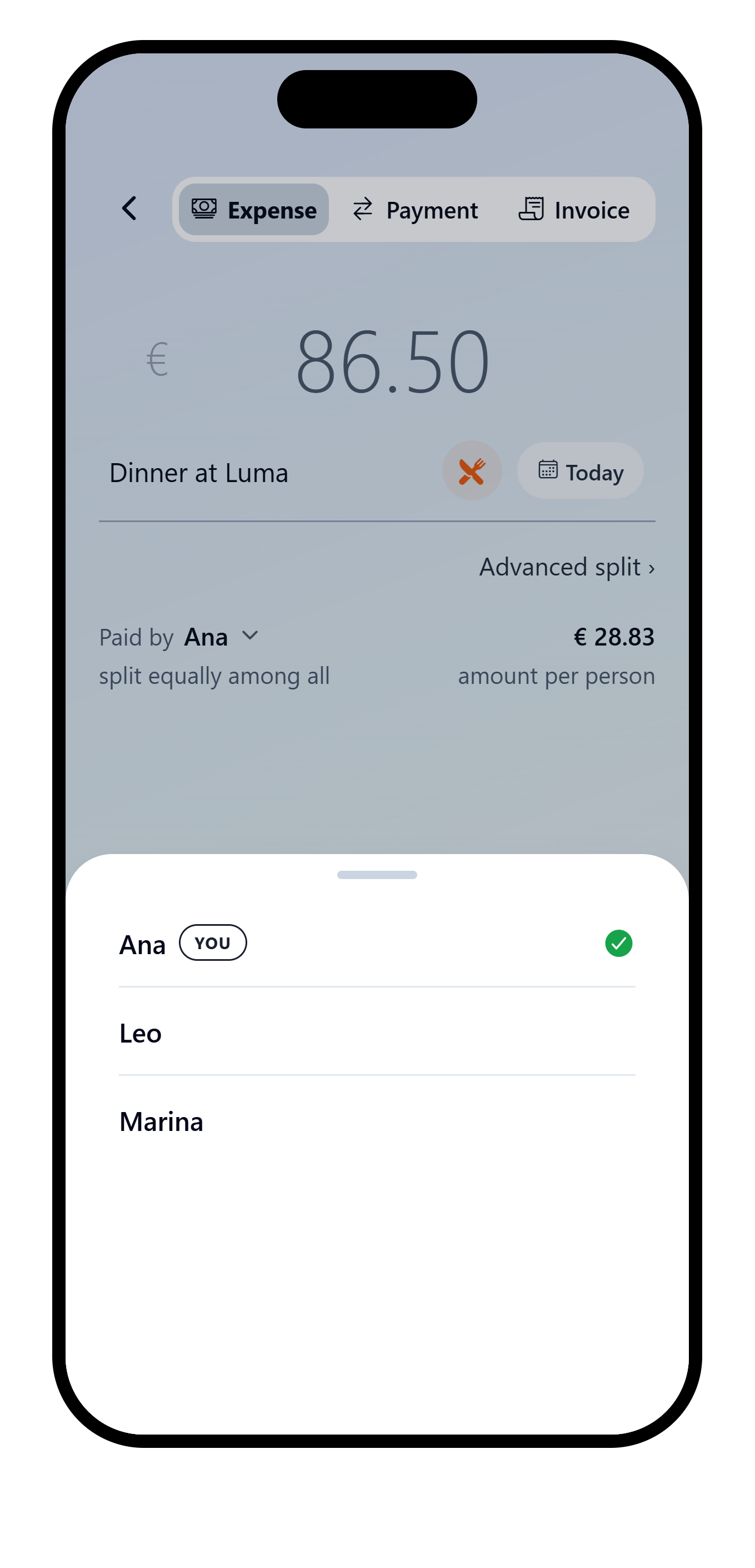 VAKKA expense form with the payer selection sheet open.