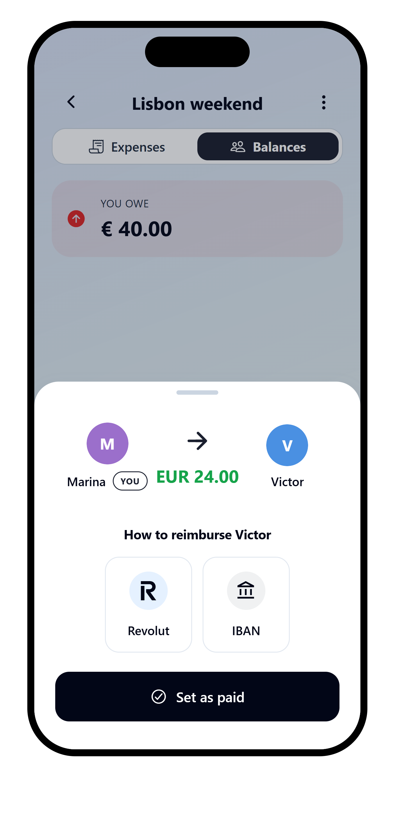 VAKKA repayment detail for Marina paying Victor EUR 24.00 with payment methods and the Set as paid action.